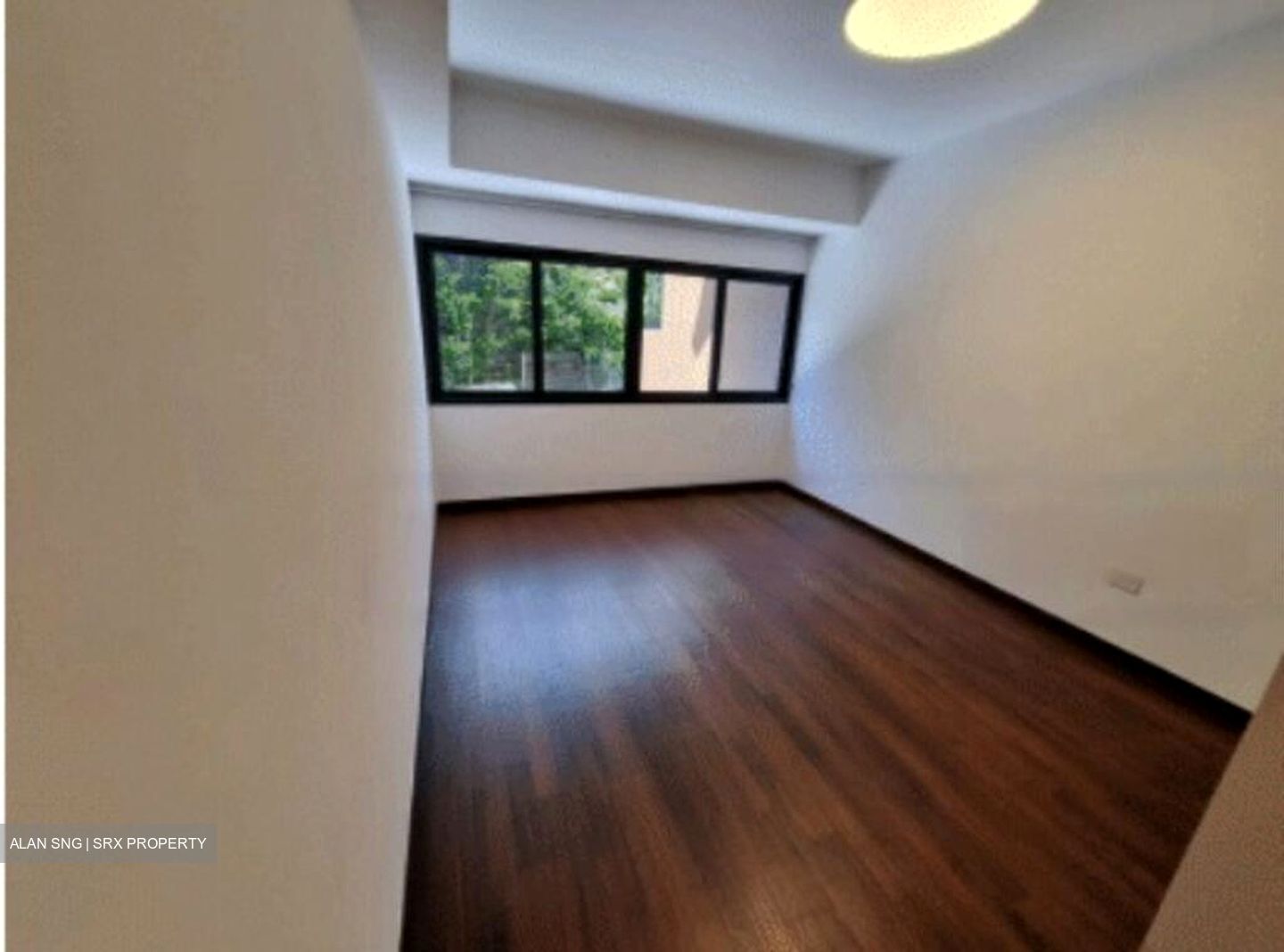 Cashew Green (D23), Terrace #454880241